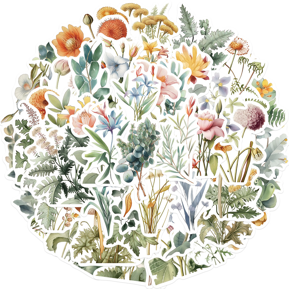 10/50PCS Natuurlijke Plant Ill - Streetwear Brand Stickers recensie en prijs