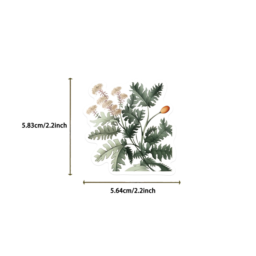 10/50PCS Natuurlijke Plant Ill - Streetwear Brand Stickers recensie en prijs